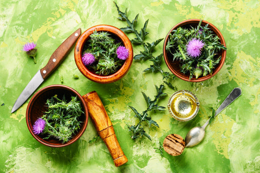 Boost Your Immunity Naturally with Ayurveda